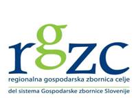 RGZC - PRSPO 2009 IZKUŠNJE