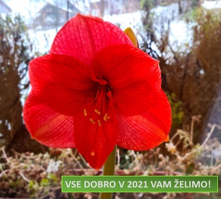 Arhiv: Voščilo