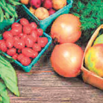 Cene sadja in zelenjave visoke vsaj do nove letine